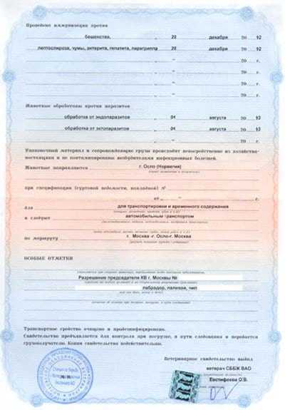 Какие документы нужны для выезда за границу: правила оформления и перечень бумаг для поездки за рубеж