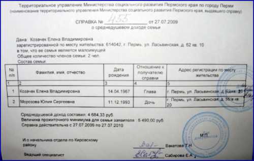 На какие льготы может рассчитывать малообеспеченная семья?