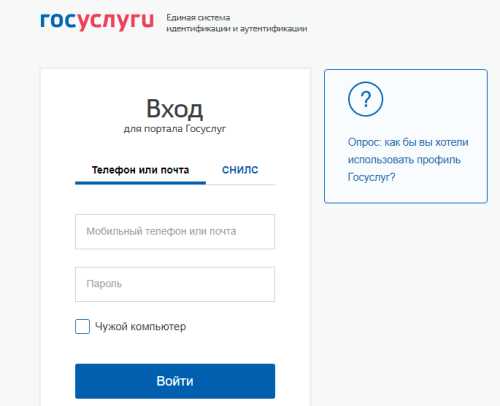 Оплата питания в школе через портал Госуслуги &mdash; как оплатить обеды через интернет