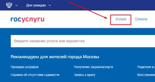 Оплата питания в школе через портал Госуслуги &mdash; как оплатить обеды через интернет