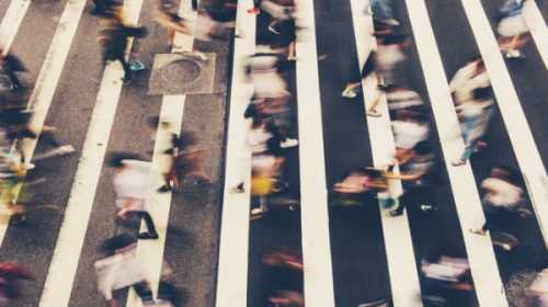 &laquo;Зебра&raquo;: самая известная дорожная разметка